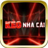 custom_website