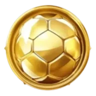 custom_website